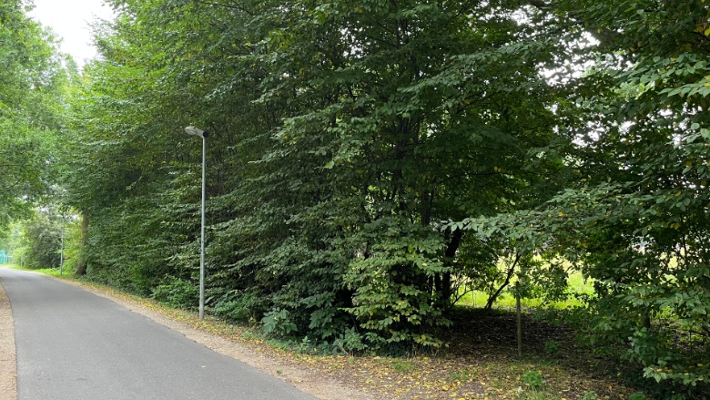 Standort für die geplante Grundschule mitten auf Naturflächen Standort für die geplante Grundschule mitten auf Naturflächen