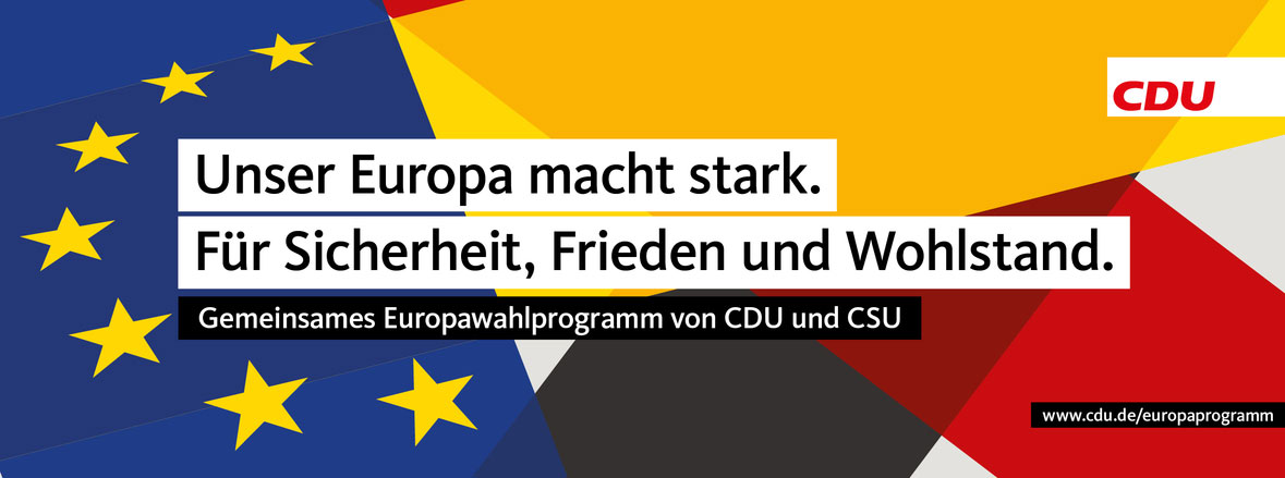 Europabanner Wahlprogramm